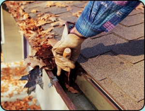 about gutter cleaning